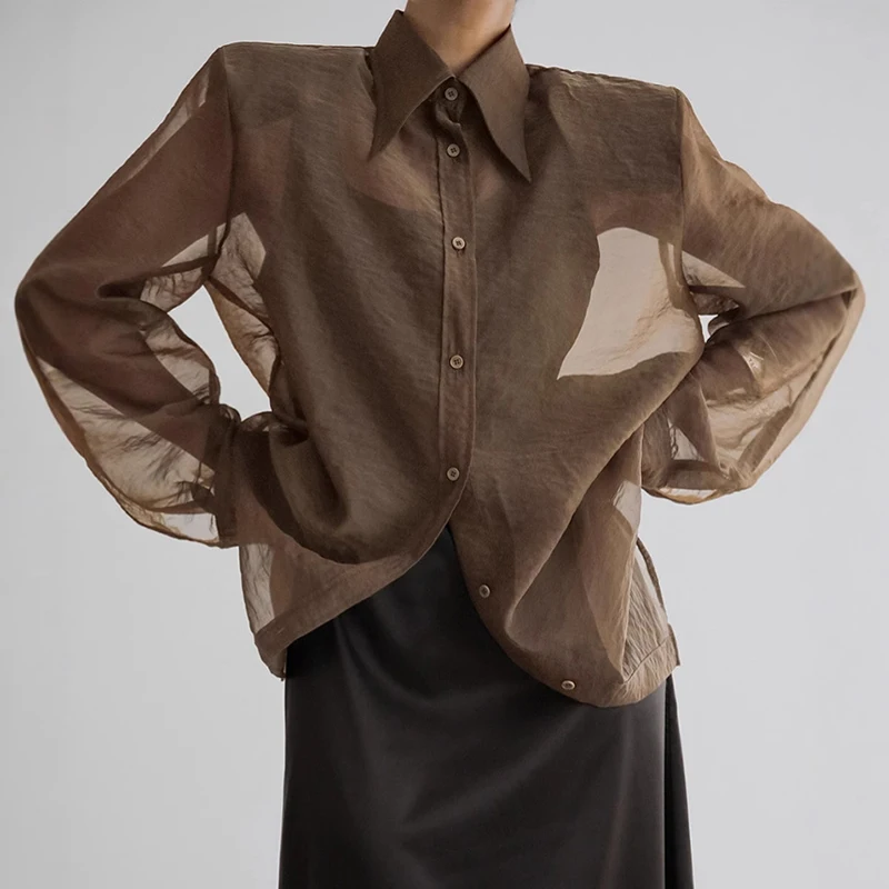 kf-S3eafdd9c752045be8b399f6392f25d0dl Elevate Your Wardrobe with the Women's Elegant Mesh Blouse