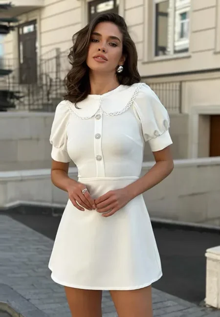 Peter Pan Collar A-Line Mini Dress with Lace Sleeves Office