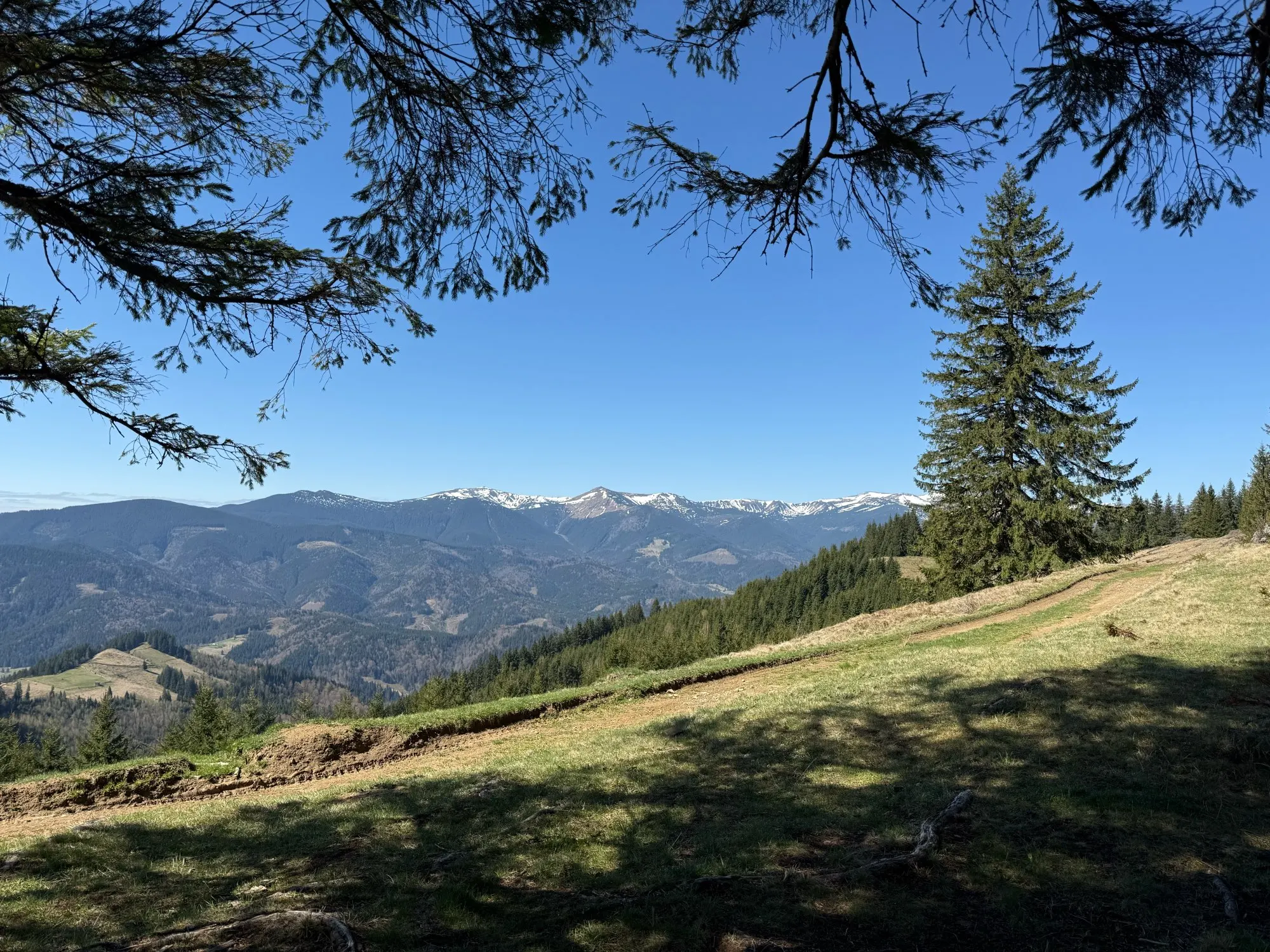 Effortless Style: TOYOUTH Women's Casual Summer Pants photo review