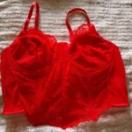 Elegant Red Lace Backless Crop Top with Underwire Support photo review