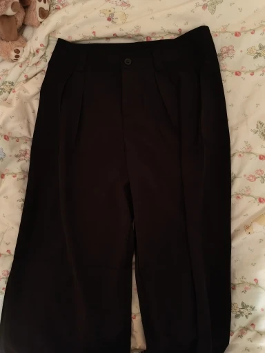 Luxe Pleated Wide Leg Pants - Professional Office Trousers photo review