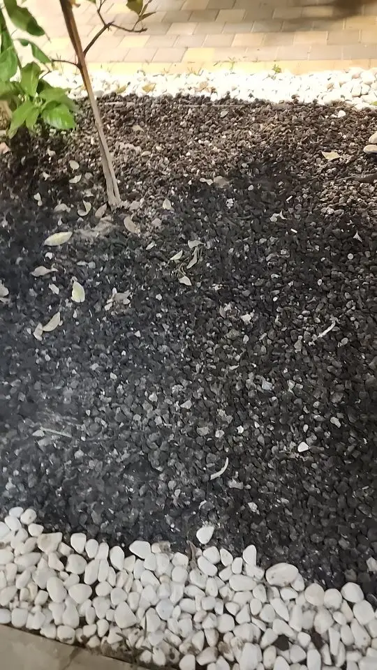 High Waist Naked Feeling Leggings - Ultimate Comfort & Style photo review