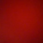 Leopard Print Halter Tank Top - Irregular Ruffle Summer Style photo review