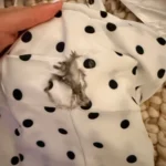 Stunning White Polka Dot Halter Top - Ruffled Backless Style photo review