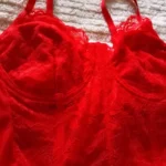 Elegant Red Lace Backless Crop Top with Underwire Support photo review