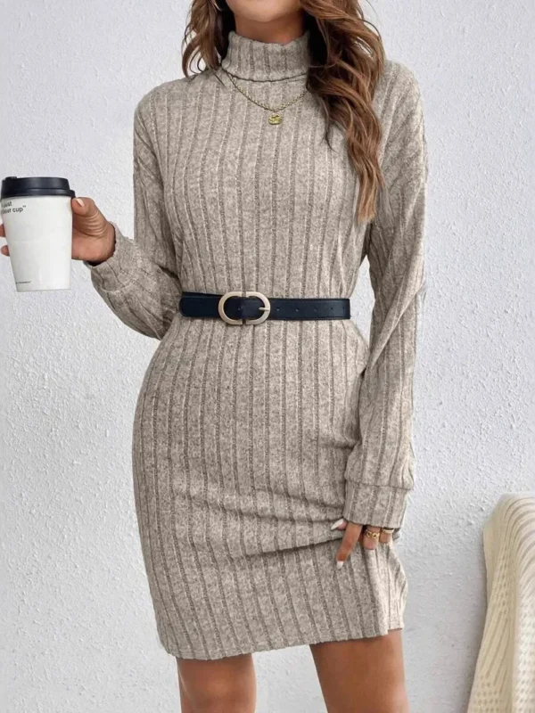 Chic Women's Gray Knit Dress: Cozy Polo Neck Elegance