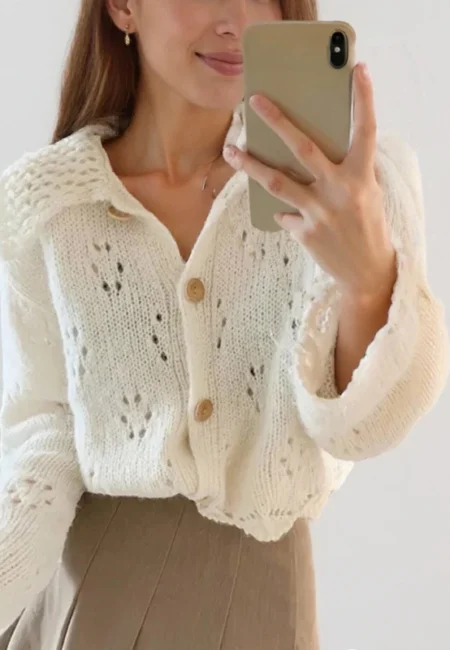 Korean Style Hollow-Out Polo Cardigan - Autumn Knitwear