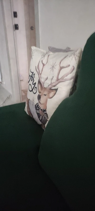 Effortless Office Summer Set: Printed Shirt & High Waist Shorts photo review