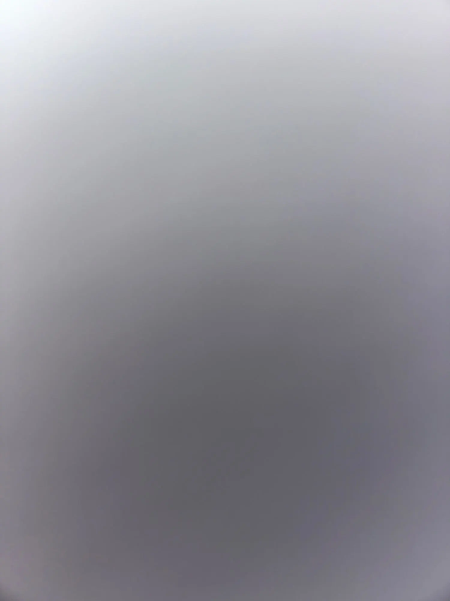 Sophisticated Embroidered Shorts Set: Timeless 2 PC Style photo review