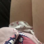 Lace-Trimmed Two-Piece Camisole & Shorts Sleep Set photo review