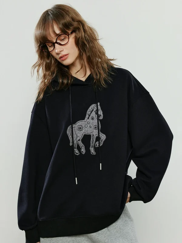 TOYOUTH Women Hoodies Winter New Loose Crew neck Warm Applique Embroidery Tops