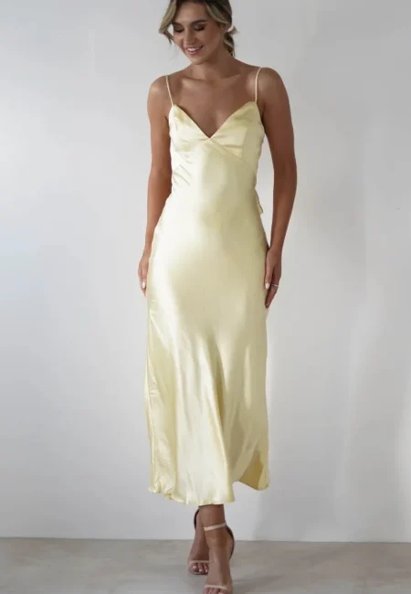 Summer Fashion New Women's Elegant and Vacation Style Satin Strap V neck Backless Waist Collection Long Dress