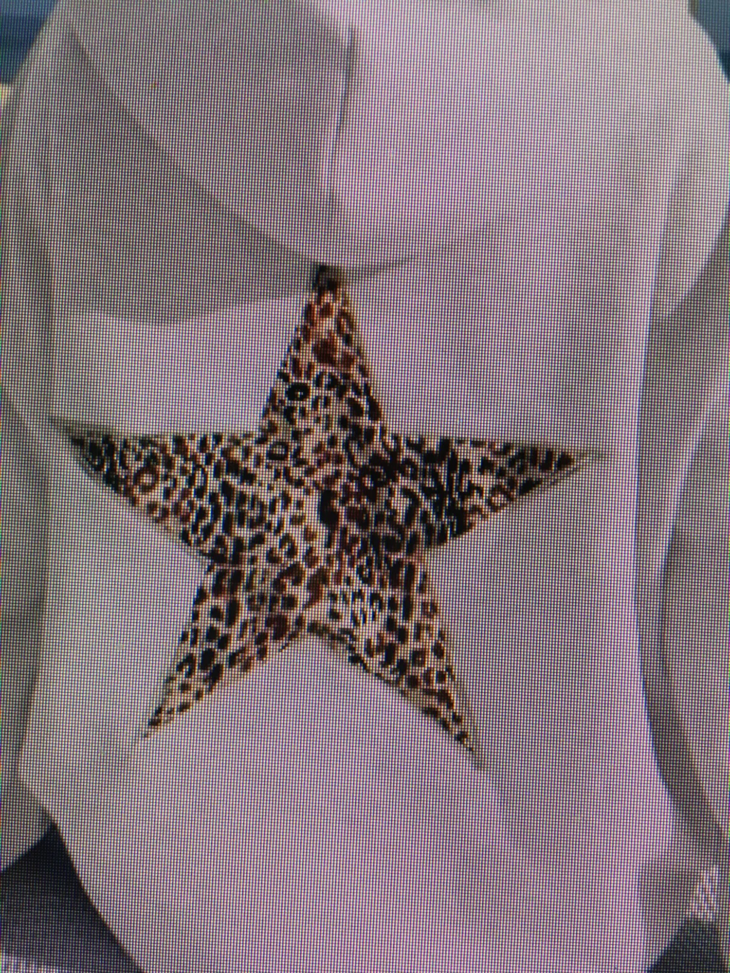 Click To View Full Screen Sa7A8Ce4C696E4503A5720280Eb59590E2