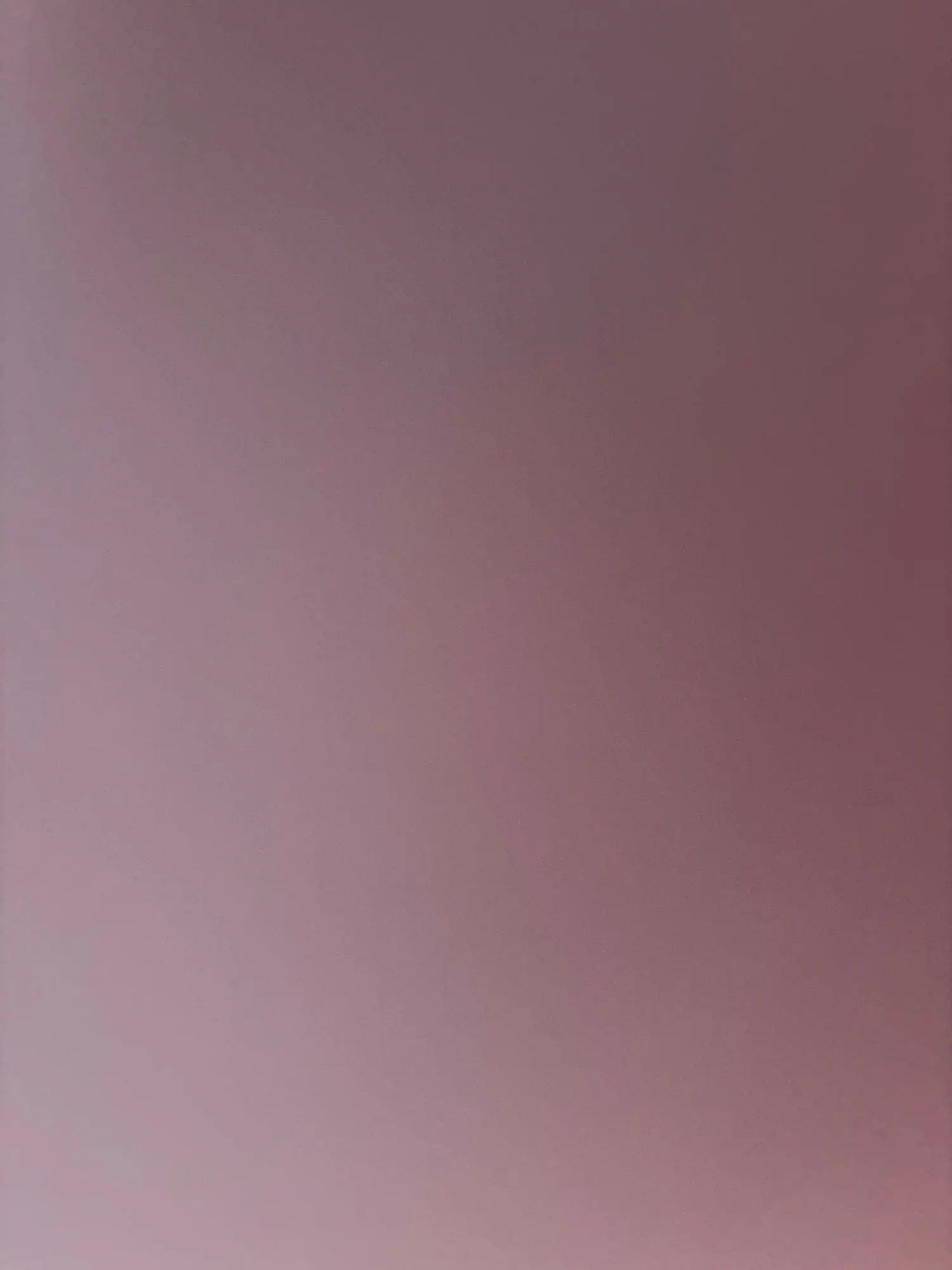 A02a979eec1834ce490085585812d8873X