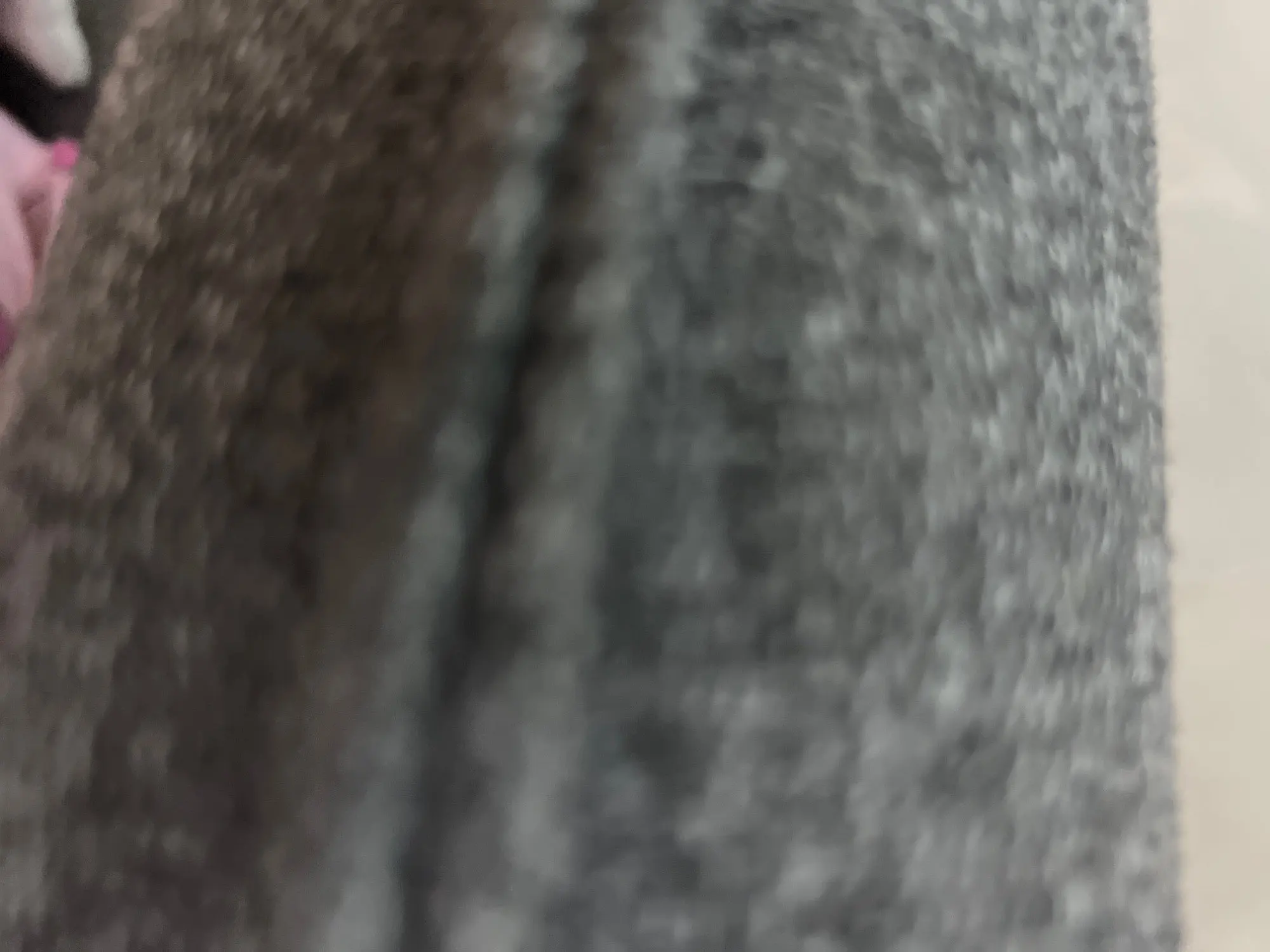 Aa2ea718de888491ab1e0f235c09d589bh