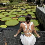 Ad27ebc6f547a4a43ba2ec752edc5c450k